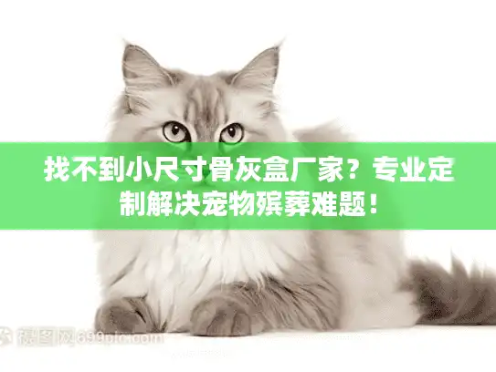 找不到小尺寸骨灰盒厂家？专业定制解决宠物殡葬难题！