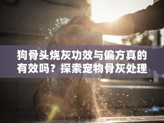 狗骨头烧灰功效与偏方真的有效吗？探索宠物骨灰处理的科学替代方案