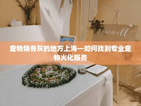 宠物烧骨灰的地方上海—如何找到专业宠物火化服务