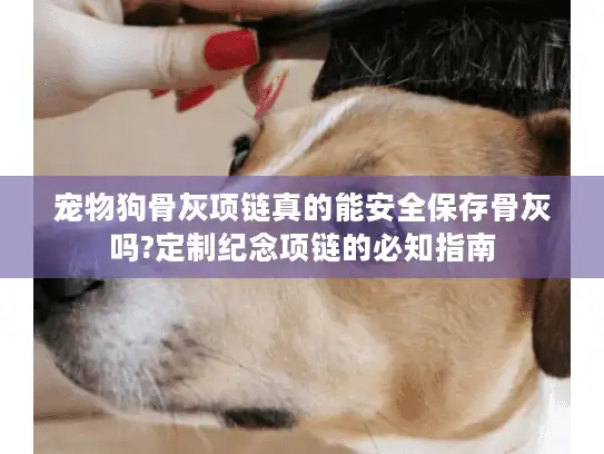 宠物狗骨灰项链真的能安全保存骨灰吗?定制纪念项链的必知指南