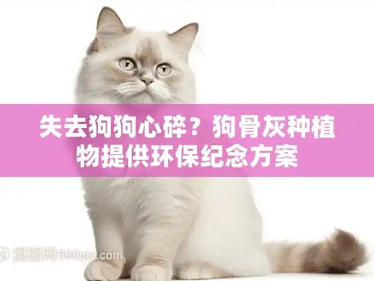 失去狗狗心碎？狗骨灰种植物提供环保纪念方案