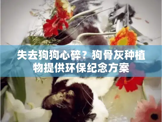 失去狗狗心碎？狗骨灰种植物提供环保纪念方案