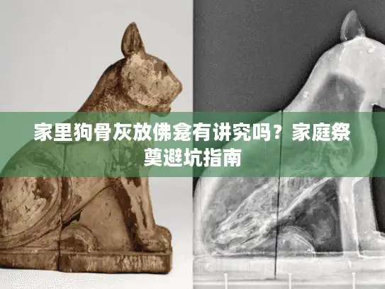家里狗骨灰放佛龛有讲究吗？家庭祭奠避坑指南