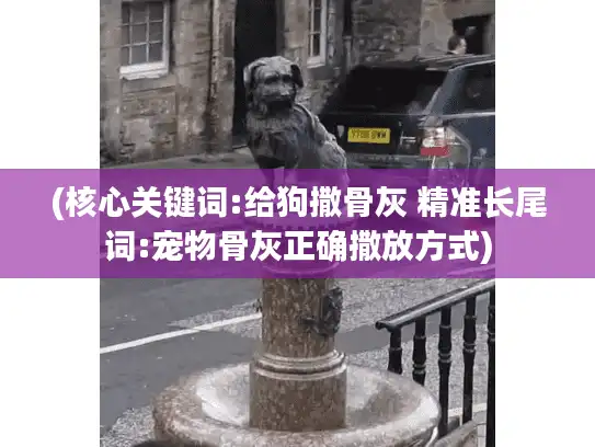 (核心关键词:给狗撒骨灰 精准长尾词:宠物骨灰正确撒放方式)