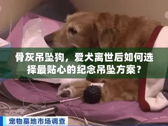 骨灰吊坠狗，爱犬离世后如何选择最贴心的纪念吊坠方案？