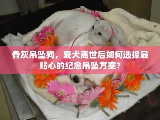 骨灰吊坠狗，爱犬离世后如何选择最贴心的纪念吊坠方案？