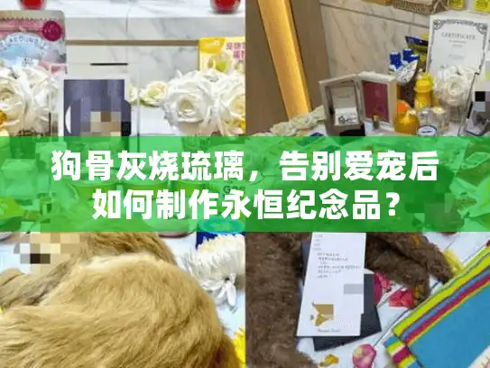 狗骨灰烧琉璃，告别爱宠后如何制作永恒纪念品？
