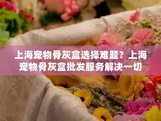上海宠物骨灰盒选择难题？上海宠物骨灰盒批发服务解决一切