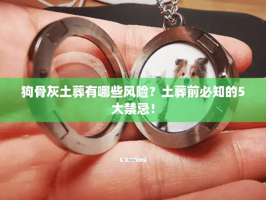 狗骨灰土葬有哪些风险？土葬前必知的5大禁忌！