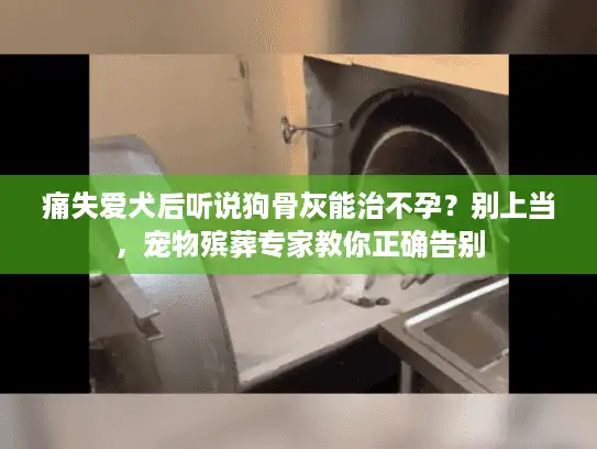 痛失爱犬后听说狗骨灰能治不孕？别上当，宠物殡葬专家教你正确告别