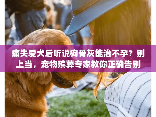 痛失爱犬后听说狗骨灰能治不孕？别上当，宠物殡葬专家教你正确告别