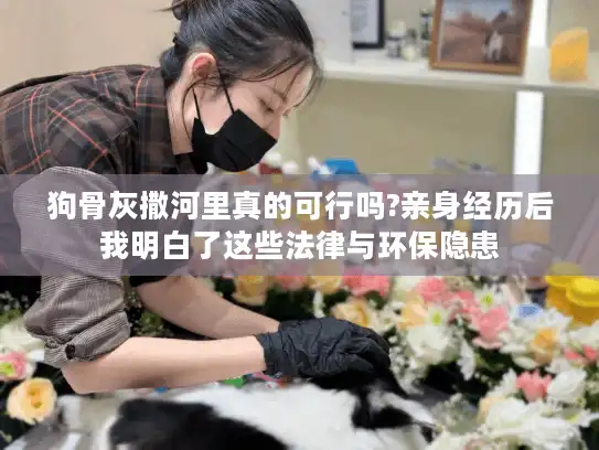 狗骨灰撒河里真的可行吗?亲身经历后我明白了这些法律与环保隐患