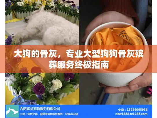 大狗的骨灰，专业大型狗狗骨灰殡葬服务终极指南