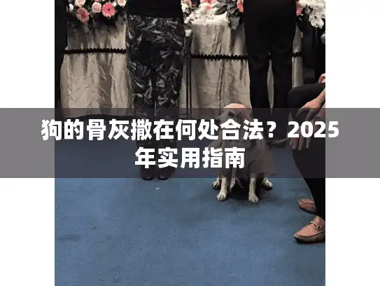 狗的骨灰撒在何处合法？2025年实用指南