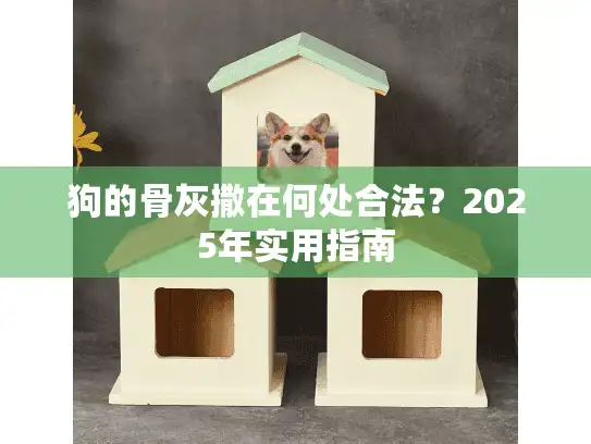 狗的骨灰撒在何处合法？2025年实用指南