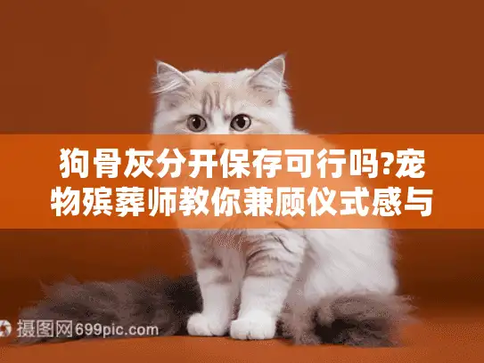狗骨灰分开保存可行吗?宠物殡葬师教你兼顾仪式感与纪念需求