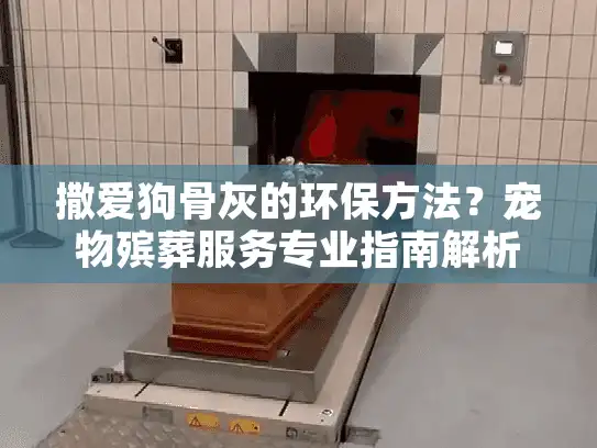撒爱狗骨灰的环保方法？宠物殡葬服务专业指南解析