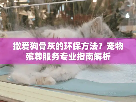 撒爱狗骨灰的环保方法？宠物殡葬服务专业指南解析