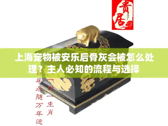 上海宠物被安乐后骨灰会被怎么处理？主人必知的流程与选择