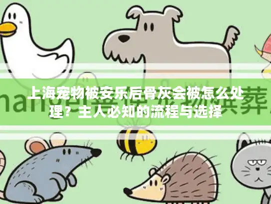 上海宠物被安乐后骨灰会被怎么处理？主人必知的流程与选择