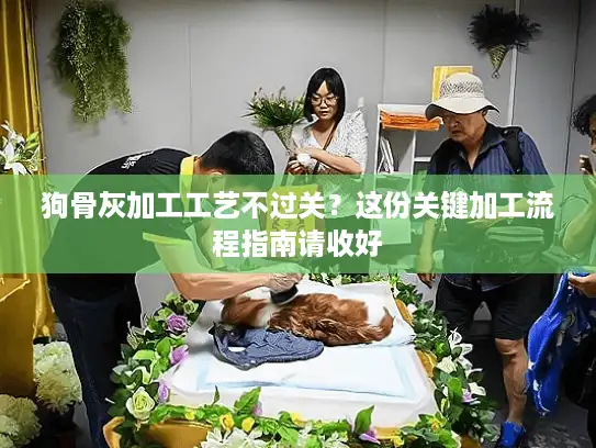 狗骨灰加工工艺不过关？这份关键加工流程指南请收好