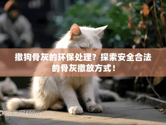撒狗骨灰的环保处理？探索安全合法的骨灰撒放方式！
