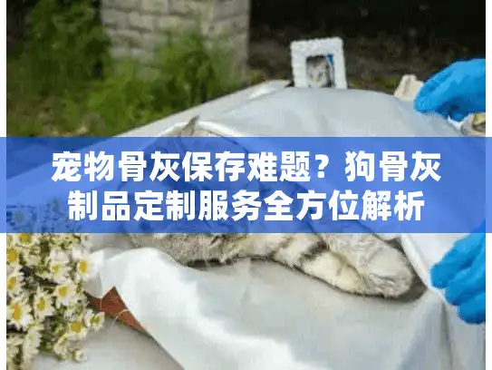 宠物骨灰保存难题？狗骨灰制品定制服务全方位解析