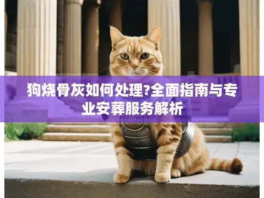 狗烧骨灰如何处理?全面指南与专业安葬服务解析