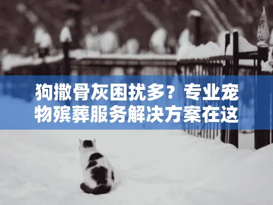 狗撒骨灰困扰多？专业宠物殡葬服务解决方案在这里