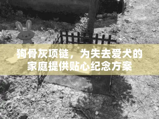 狗骨灰项链，为失去爱犬的家庭提供贴心纪念方案