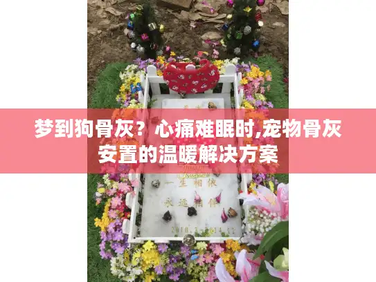 梦到狗骨灰？心痛难眠时,宠物骨灰安置的温暖解决方案