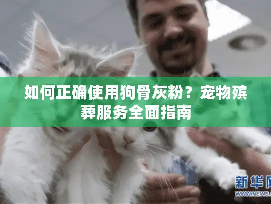 如何正确使用狗骨灰粉？宠物殡葬服务全面指南