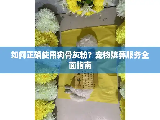 如何正确使用狗骨灰粉？宠物殡葬服务全面指南