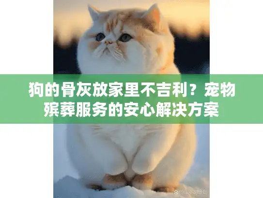 狗的骨灰放家里不吉利？宠物殡葬服务的安心解决方案