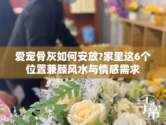 爱宠骨灰如何安放?家里这6个位置兼顾风水与情感需求