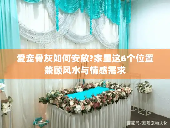 爱宠骨灰如何安放?家里这6个位置兼顾风水与情感需求