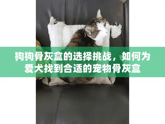 狗狗骨灰盒的选择挑战，如何为爱犬找到合适的宠物骨灰盒
