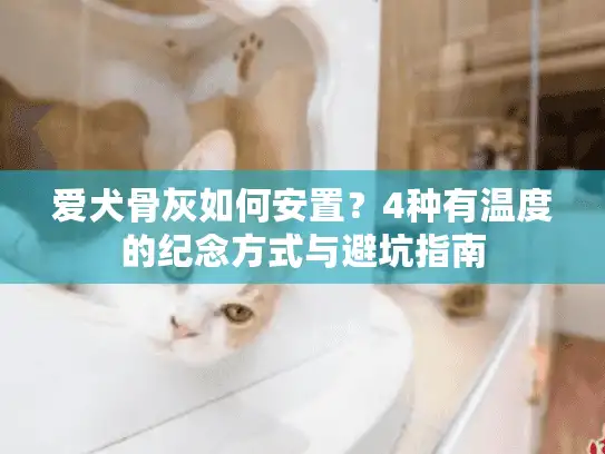 爱犬骨灰如何安置？4种有温度的纪念方式与避坑指南