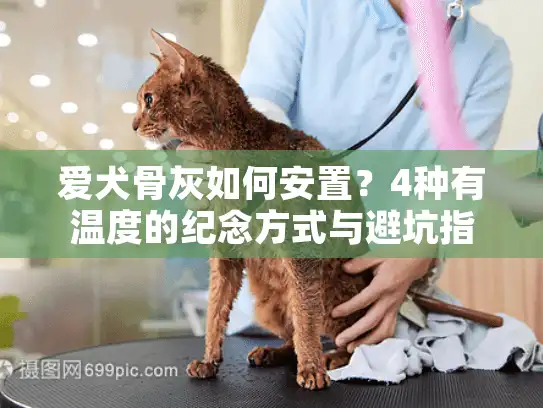 爱犬骨灰如何安置？4种有温度的纪念方式与避坑指南