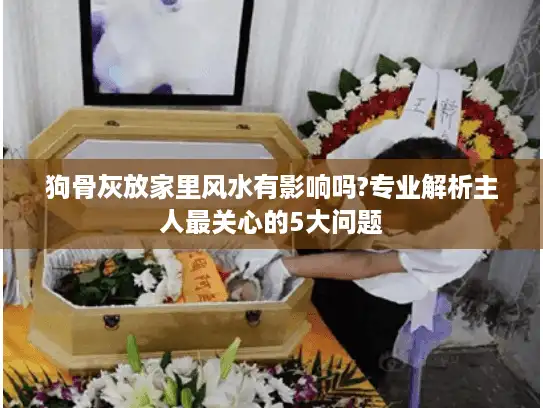 狗骨灰放家里风水有影响吗?专业解析主人最关心的5大问题