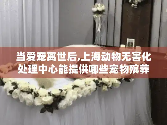 当爱宠离世后,上海动物无害化处理中心能提供哪些宠物殡葬服务?