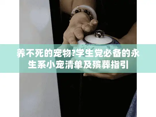 养不死的宠物?学生党必备的永生系小宠清单及殡葬指引