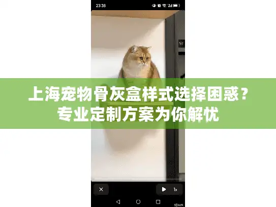 上海宠物骨灰盒样式选择困惑？专业定制方案为你解忧