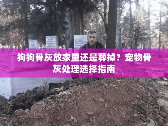 狗狗骨灰放家里还是葬掉？宠物骨灰处理选择指南