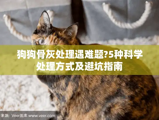 狗狗骨灰处理遇难题?5种科学处理方式及避坑指南