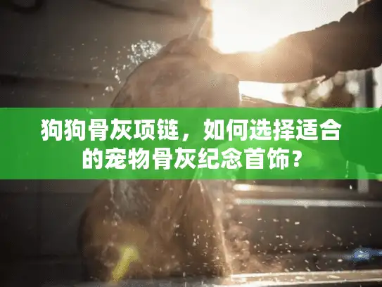 狗狗骨灰项链，如何选择适合的宠物骨灰纪念首饰？