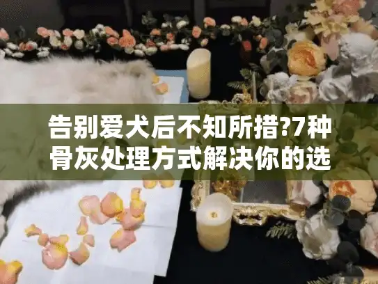 告别爱犬后不知所措?7种骨灰处理方式解决你的选择困难