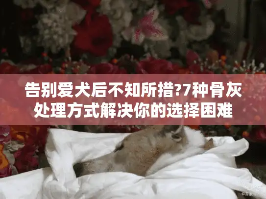 告别爱犬后不知所措?7种骨灰处理方式解决你的选择困难
