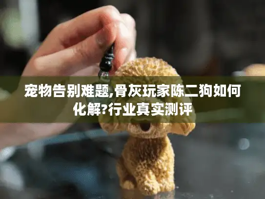 宠物告别难题,骨灰玩家陈二狗如何化解?行业真实测评