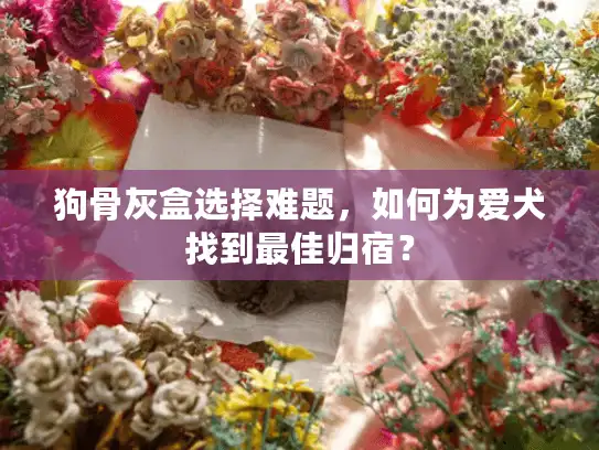 狗骨灰盒选择难题，如何为爱犬找到最佳归宿？